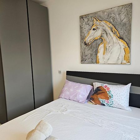 Modern Elegance Valletta Apartment Extérieur photo